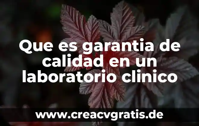Enlace punto a punto que es 8 Que es garantia de calidad en un laboratorio clinico