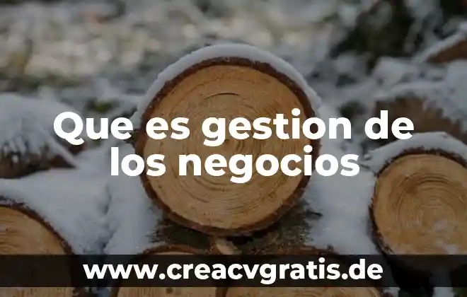 Que es un plan de negocios por que es necesario 5 Que es gestion de los negocios