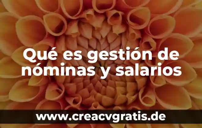 Que es analista de gestion 5 Qué es gestión de nóminas y salarios