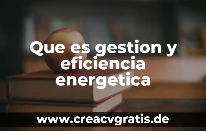 Que es analista de gestion 4 Que es gestion y eficiencia energetica