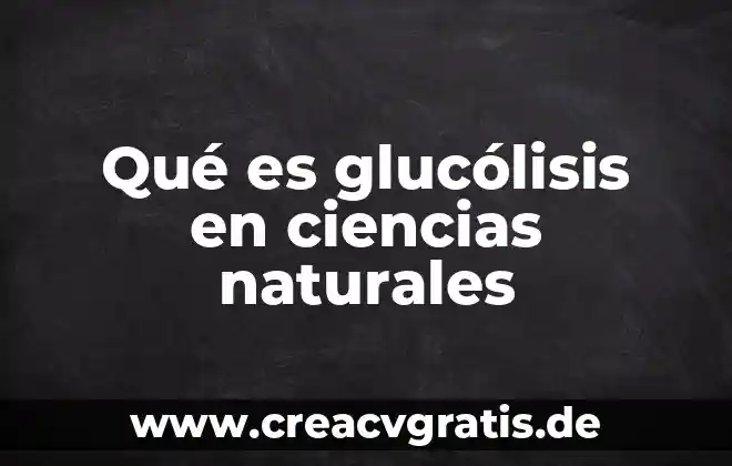 Que es protista en ciencias naturales 8 Qué es glucólisis en ciencias naturales