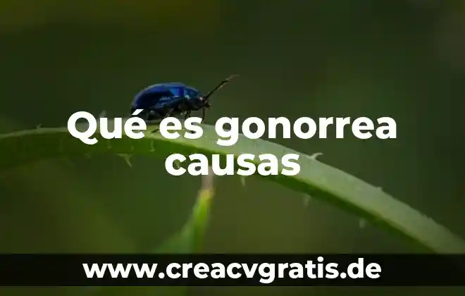 Que es la prostitucion y sus principales causas 7 Qué es gonorrea causas