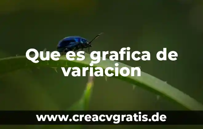 Número algebra y variación que es 5 Que es grafica de variacion