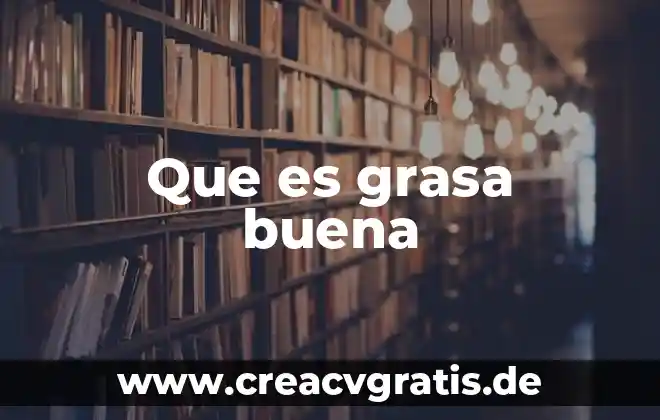 Que es la grasa significado 3 Que es grasa buena
