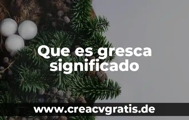 Vagina significado etimológico y qué es 8 Que es gresca significado