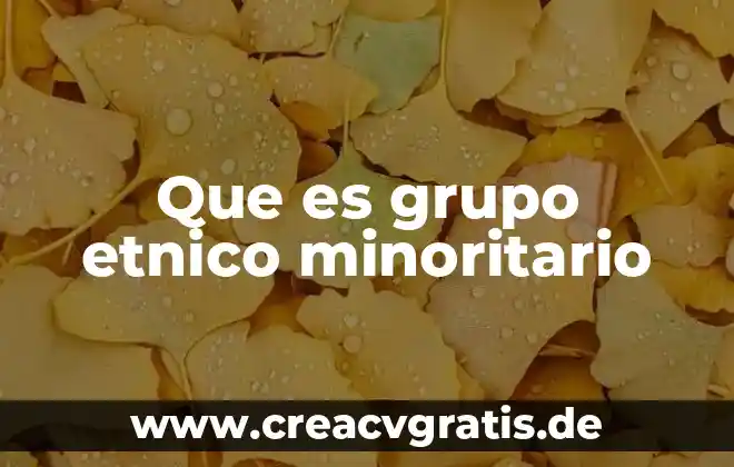 Que es un grupo en servidores 3 Que es grupo etnico minoritario