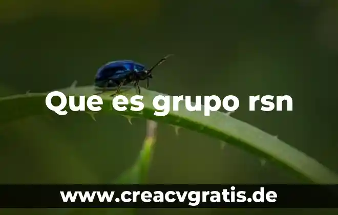 Logotipo que es y para que sirve 8 Que es grupo rsn
