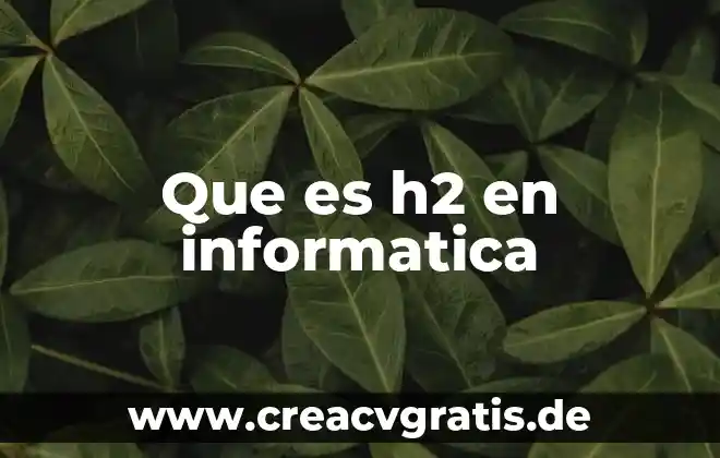 Qué es el programa SAID en términos de informática 6 Que es h2 en informatica