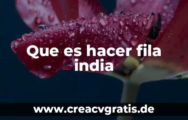 Qué es el número de Avogadro porque hay hacer estadísticas 7 Que es hacer fila india