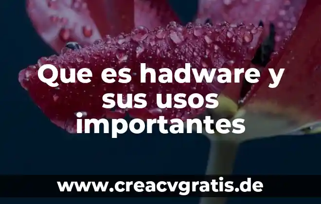 Qué es la muerte según autores importantes 6 Que es hadware y sus usos importantes