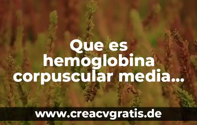 El agua que es tomando en cuenta el modelo corpuscular 6 Que es hemoglobina corpuscular media alta