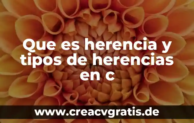 Qué es un elemente 6 Que es herencia y tipos de herencias en c