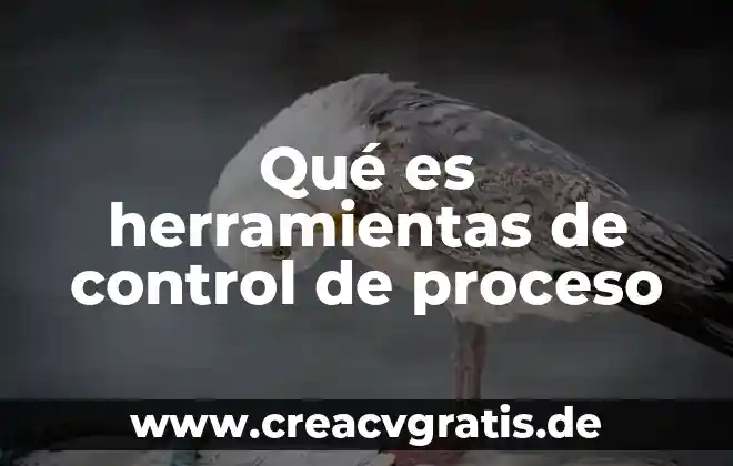 Herramientas de comunicación que es 8 Qué es herramientas de control de proceso