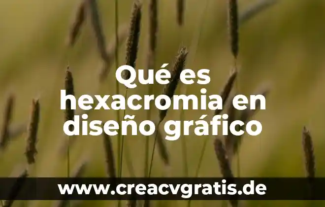 Qué es una sita y los tipos de sitas 4 Qué es hexacromia en diseño gráfico
