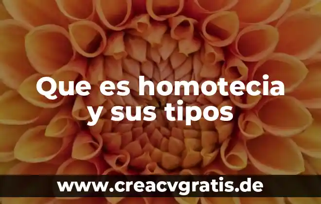 Que es un lubricante y sus tipos 3 Que es homotecia y sus tipos