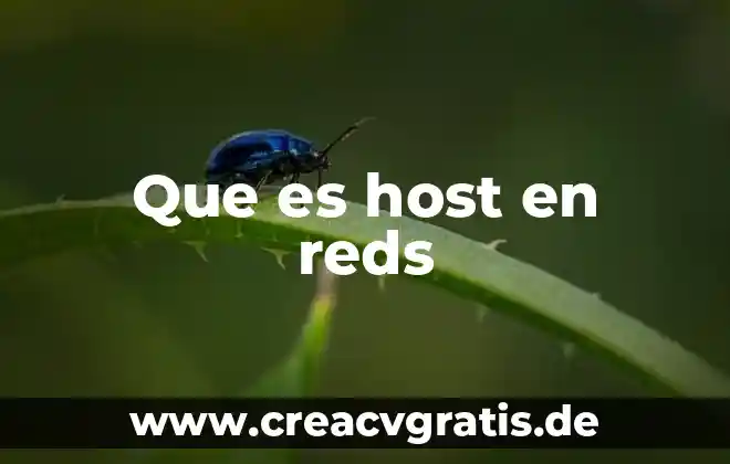 Host de servicio sysmain que es 4 Que es host en reds