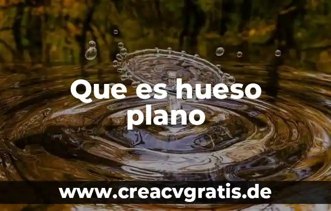 Que es el plano cartesiano con parabola 4 Que es hueso plano