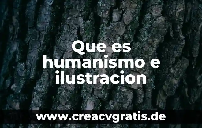 Que es el concepto en la ilustración 7 Que es humanismo e ilustracion