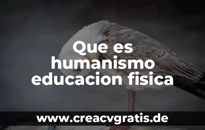 Que es ciencia y tecnologia con humanismo 3 Que es humanismo educacion fisica