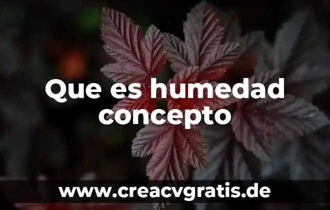 Que es la diafisis concepto 7 Que es humedad concepto
