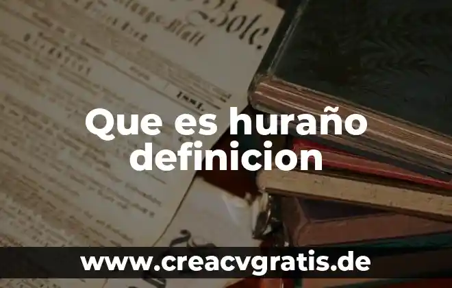 Que es el icon definicion 7 Que es huraño definicion