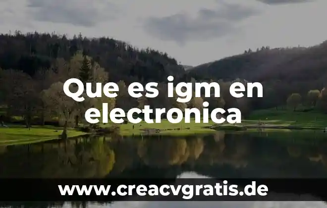 Por que es necesario la firma electrónica 5 Que es igm en electronica