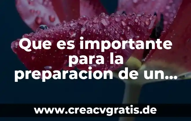 Por que es importante un ministro de justicia 4 Que es importante para la preparacion de un baile mestizo