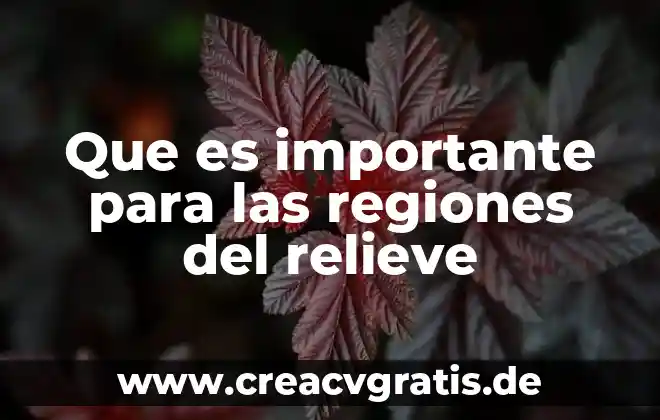 Aplicador de examen que es 7 Que es importante para las regiones del relieve