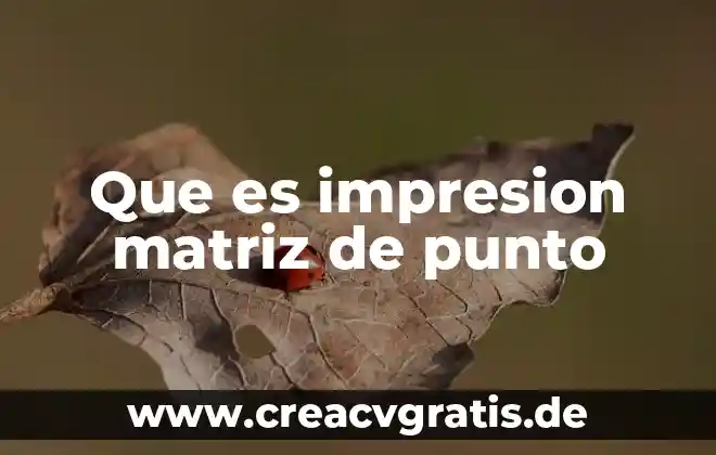 Que es biwenger social 3 Que es impresion matriz de punto