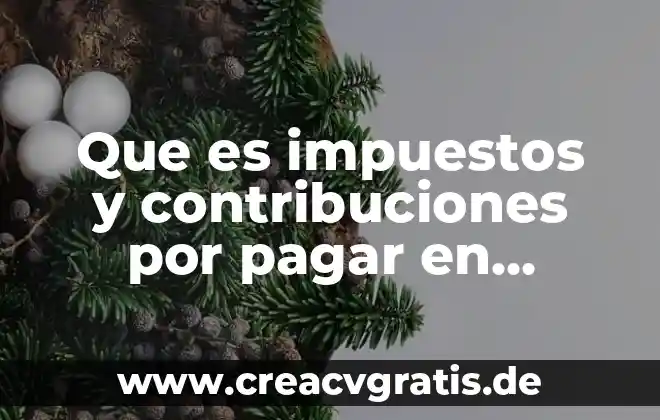 Que es la exencion de impuestos y tipos de excencion 7 Que es impuestos y contribuciones por pagar en conabilidad