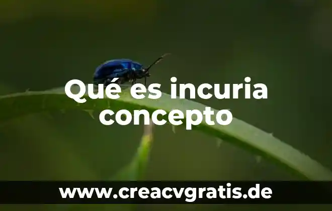 El concepto de que es una segunda lengua con autoridad 7 Qué es incuria concepto