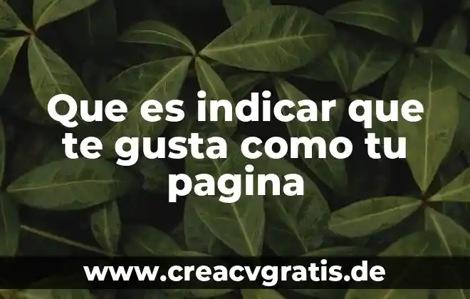 Que es un indicar de producción y para qué sirve 5 Que es indicar que te gusta como tu pagina