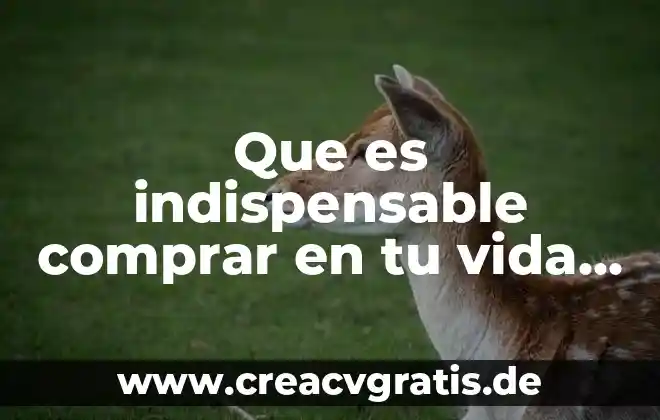 Por que es importante la fisica en la vida diaria 6 Que es indispensable comprar en tu vida diaria