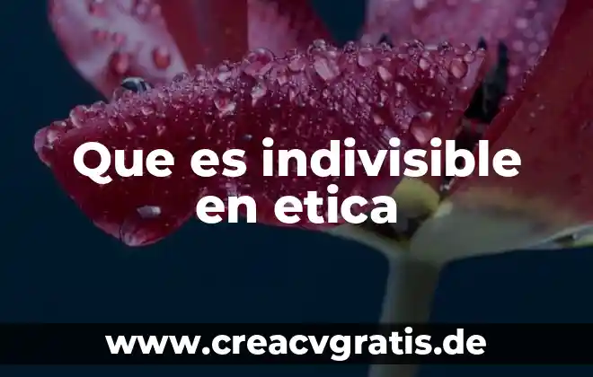 Ética que es verdad 5 Que es indivisible en etica