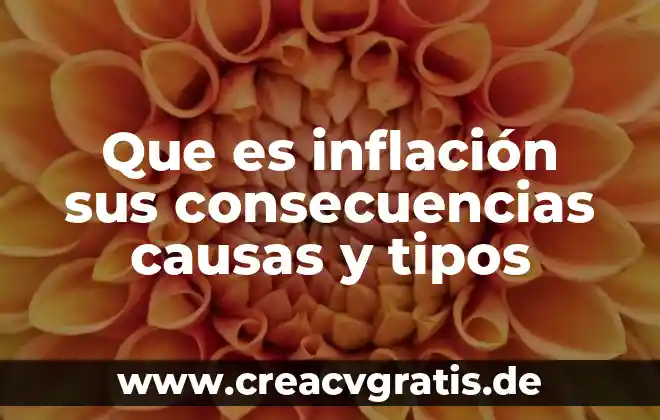 Qué es el procesamiento metodología 7 Que es inflación sus consecuencias causas y tipos