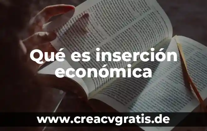 Brecha económica que es 4 Qué es inserción económica