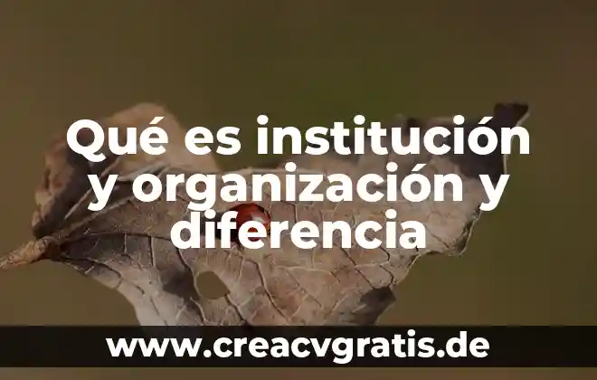 Qué es significa las organización cam 4 Qué es institución y organización y diferencia