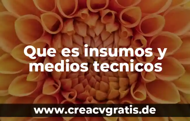 Que es evaluacion de los procesos tecnicos 5 Que es insumos y medios tecnicos
