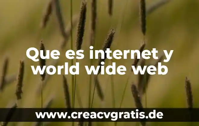 World wide web tipos que es 5 Que es internet y world wide web