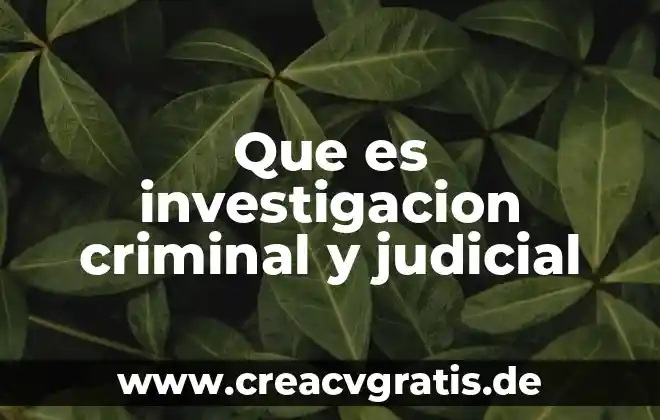 Que es la investigacion no judicializada 3 Que es investigacion criminal y judicial