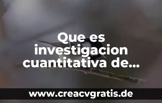 Que es la cuenta pública municipal 2019 7 Que es investigacion cuantitativa de salud publica