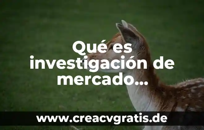 Que es el analisis de contenido en la investigacion cualitativa 3 Qué es investigación de mercado cualitativa