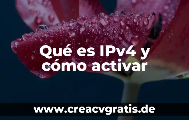 Que es activar el modo brige 3 Qué es IPv4 y cómo activar