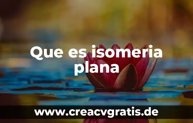 Qué es tipos de inmuebles 8 Que es isomeria plana