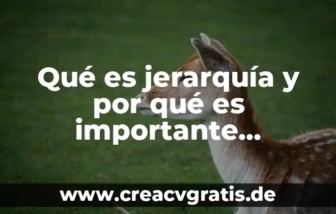 Qué es sustentabilidad y por qué es importante 3 Qué es jerarquía y por qué es importante conocer el proceso