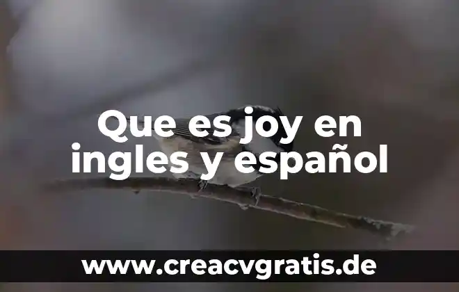 Que es ocupaciones animada el español e ingles 6 Que es joy en ingles y español