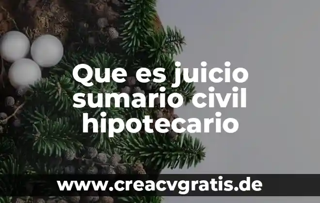 Crédito hipotecario o INFONAVIT, ¿qué es mejor? 8 Que es juicio sumario civil hipotecario