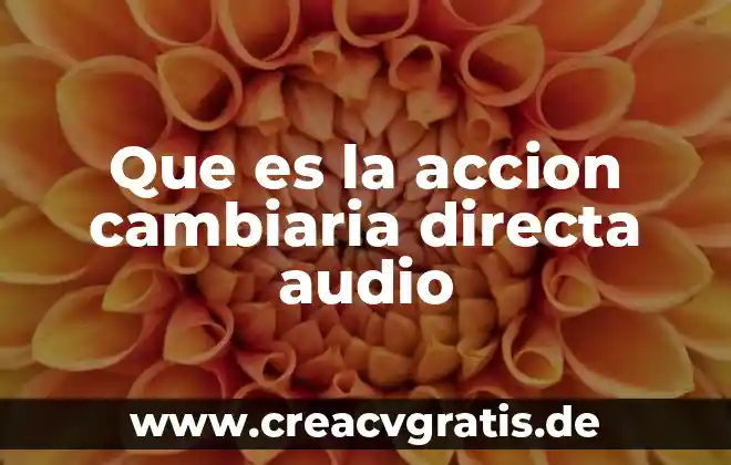 Qué es estudio y formatos de audio 5 Que es la accion cambiaria directa audio