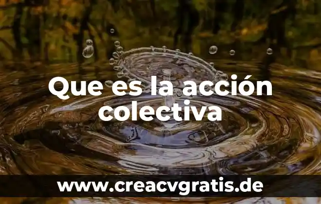 Qué es una acción asertiva 6 Que es la acción colectiva