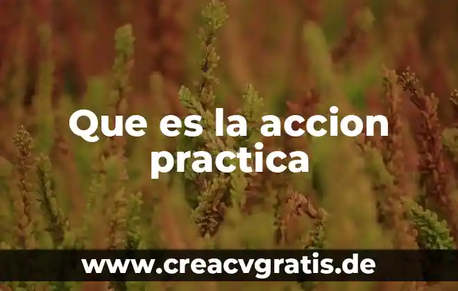 Que es ese chorrito de sangre que sale 5 Que es la accion practica